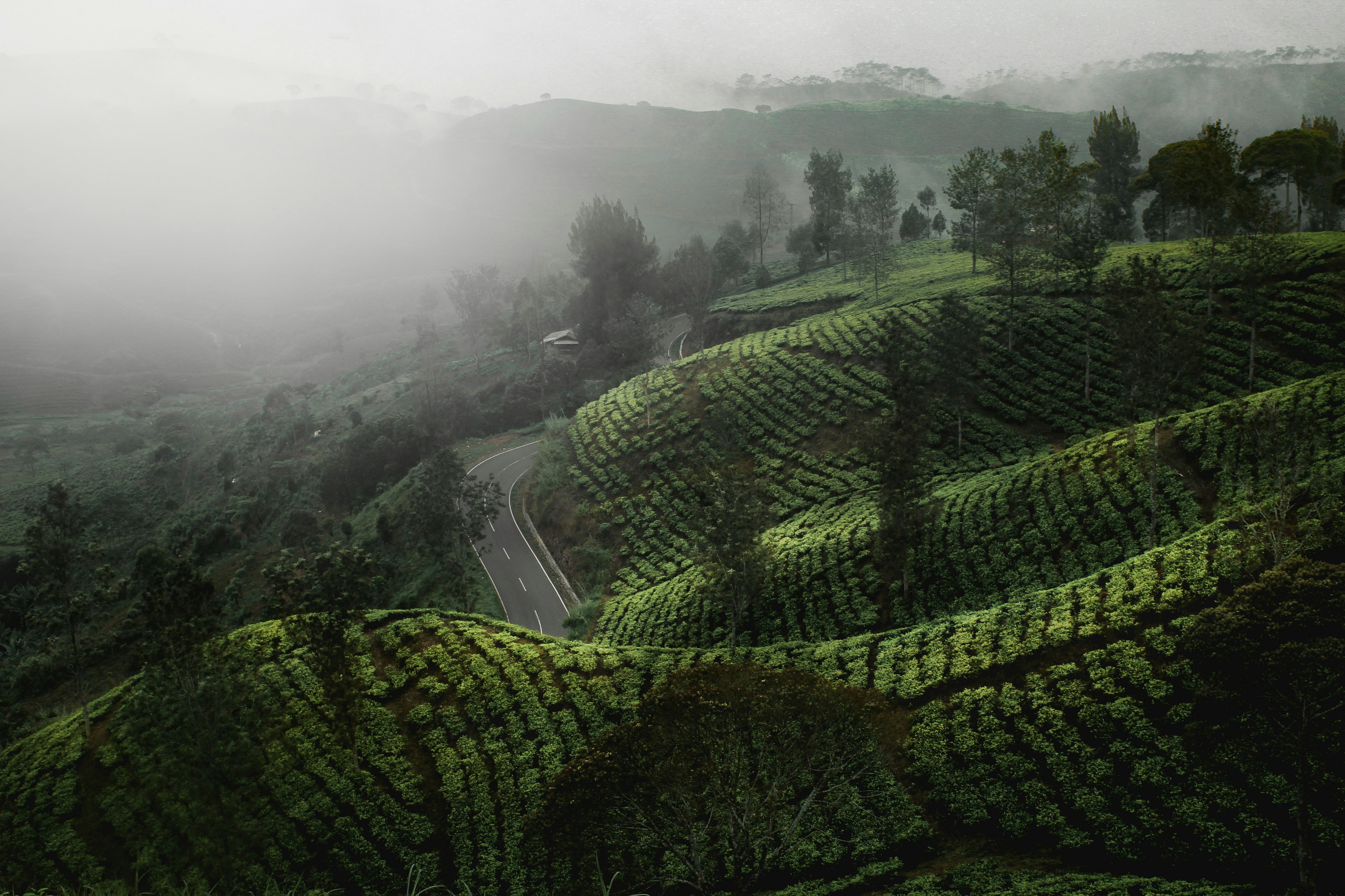 About