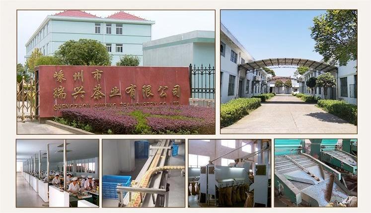 Ruixing Tea has dedicated in Develop,Manufacturing Gunpowder Tea and chunmee Tea with customized packaging over 25 Years.