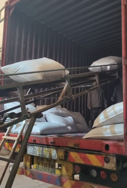 load china green tea 9501 in bulk 